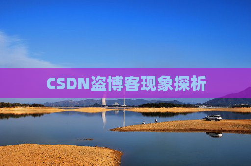 CSDN盗博客现象探析